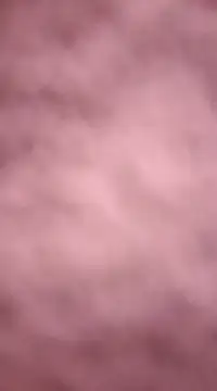 chalaHot online show from 12-21-24, 11:24