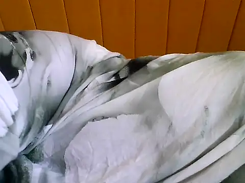 nastygirl- online show from 11-23-25, 09:30