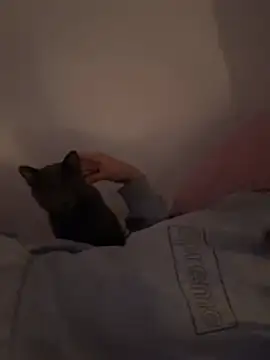 Ag4ta  online show from 02-19-26, 11:12