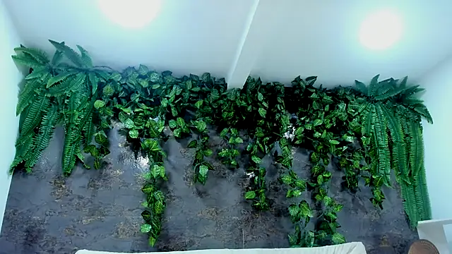 alice greco online show from 11-24-25, 05:02