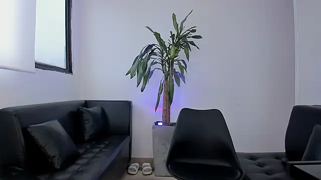 alice greco online show from 02-03-26, 12:54