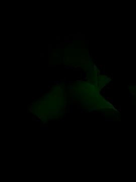 lRainbowBoy online show from 11-14-25, 12:25