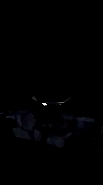 AriellaTaylor online show from 12-14-25, 12:33