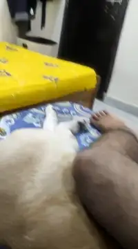 Believerrrr online show from 02-05-25, 04:59