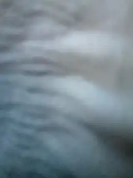 Snapshot of Sarita_7 chatting on 03-20-25, 07:03 Sarita 7 online show from 03-20-25, 07:03