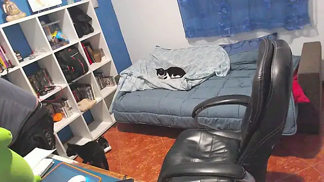 ravingr4d4 online show from 02-19-26, 12:18