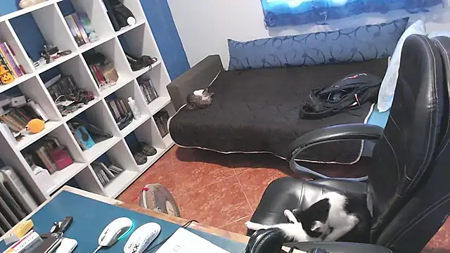 ravingr4d4 online show from 10-24-25, 03:22