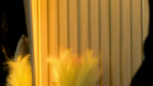 MiaCharm online show from 02-02-26, 09:36