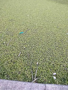 Eduardoxxx51 online show from 12-03-25, 10:20