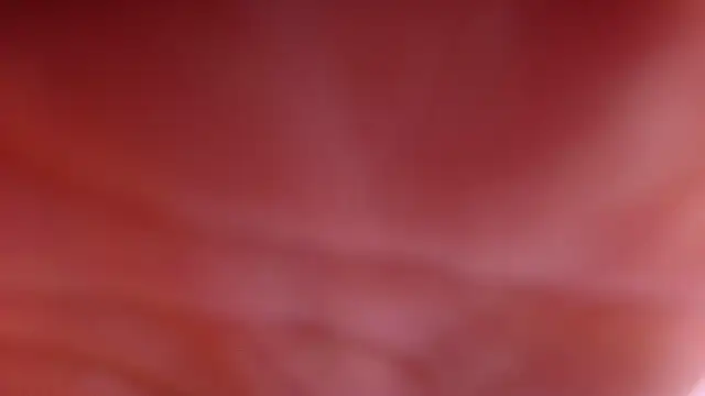 violett lo online show from 02-28-26, 03:06