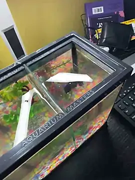 VFuck4U xxx online show from 03-10-25, 01:21