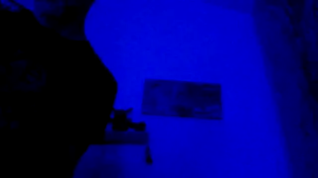 El Gizmo online show from 02-28-26, 10:59