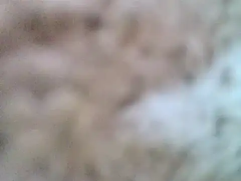 DaddyQuimHot online show from 02-09-25, 12:08