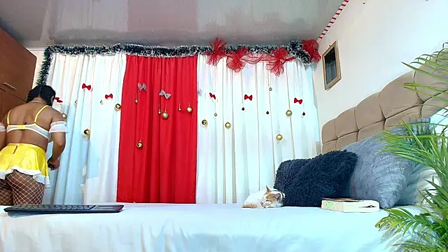 PaoL22 online show from 01-11-26, 02:51