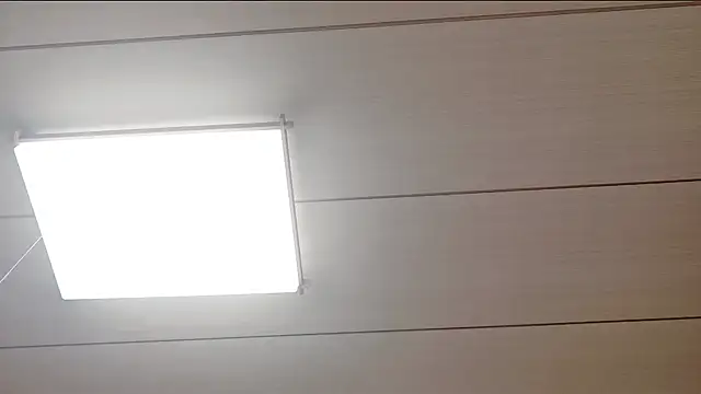 xxArisaxx online show from 02-11-26, 06:02