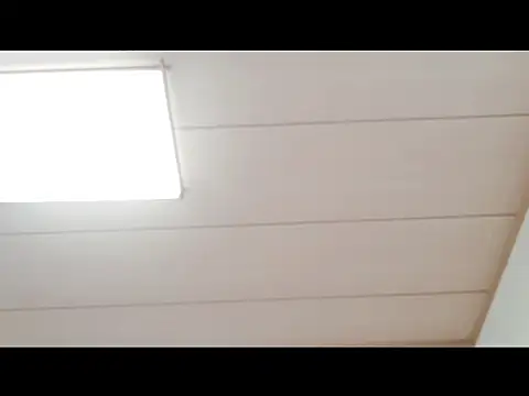 xxArisaxx online show from 11-29-25, 06:02