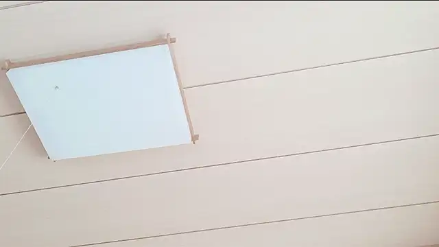 xxArisaxx online show from 03-01-26, 05:40