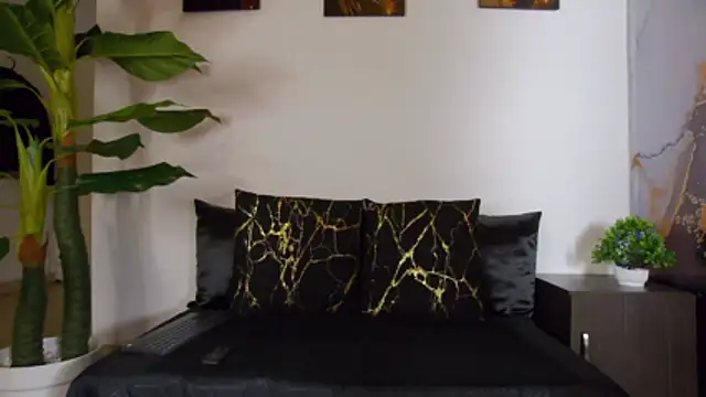 alex noa online show from 02-14-26, 07:25