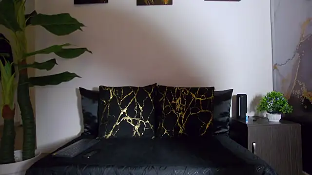 alex noa online show from 02-16-26, 02:16