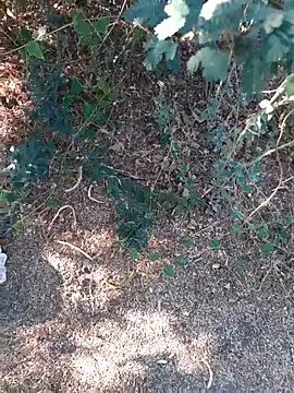 Ajith mvi online show from 03-26-26, 11:08