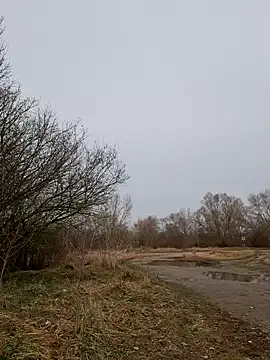 Zeefy online show from 03-11-25, 09:56