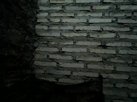 Rodrigo happy online show from 12-14-25, 03:02