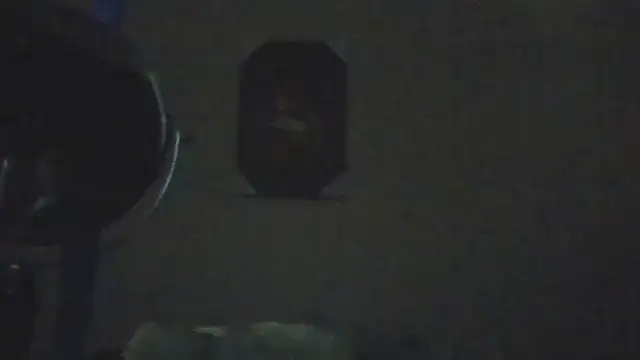 hailzeffn online show from 05-07-26, 02:31