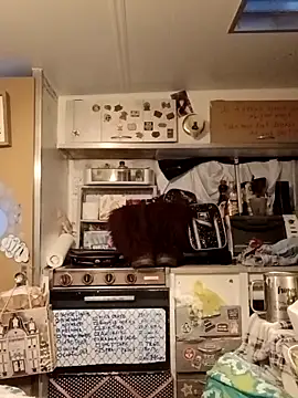 whitetrashdirtyslut online show from 03-18-26, 01:13