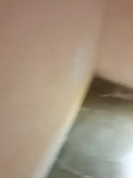 fkoito online show from 11-15-25, 08:13