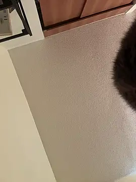 Megan Rodrigo online show from 03-07-26, 12:32