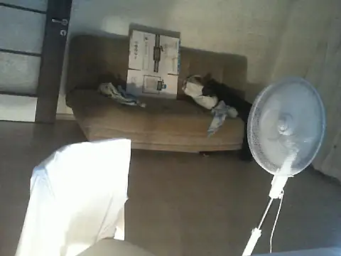 Snapshot of thekeys chatting on 07-12-26, 09:04 thekeys online show from 07-12-26, 09:04