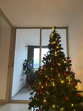 Susi bell online show from 12-27-24, 10:48