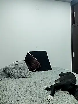 Mariam Gomezxxx online show from 02-13-26, 12:32