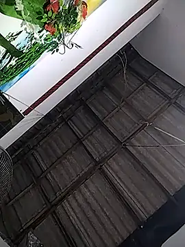 Nishii Girl online show from 01-11-26, 12:12