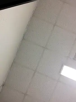 Snapshot of Fred_bo chatting on 10-24-25, 04:17 Fred bo online show from 10-24-25, 04:17