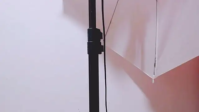 MaidenGame online show from 02-10-26, 03:11