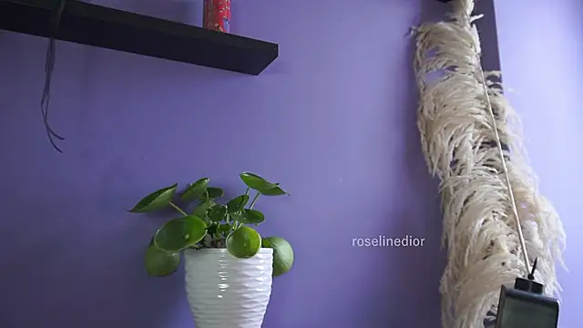 roselinedior online show from 05-20-26, 04:26