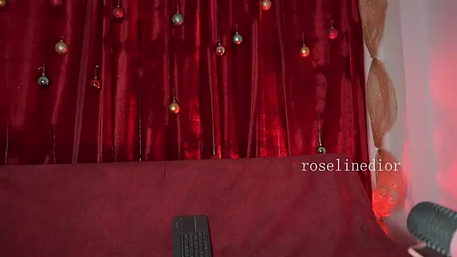 roselinedior online show from 12-17-25, 08:14