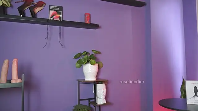 roselinedior online show from 05-19-26, 02:46
