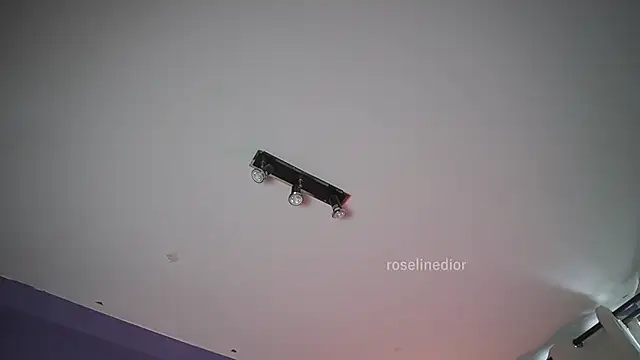 Snapshot of roselinedior chatting on 06-21-26, 07:08 roselinedior online show from 06-21-26, 07:08