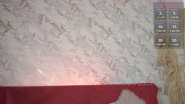 roselinedior online show from 11-20-25, 02:18