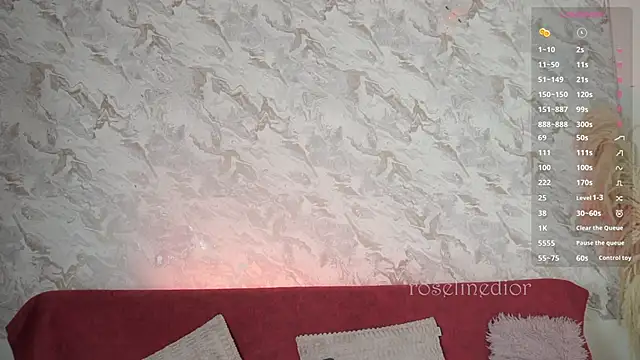 roselinedior online show from 11-19-25, 01:55