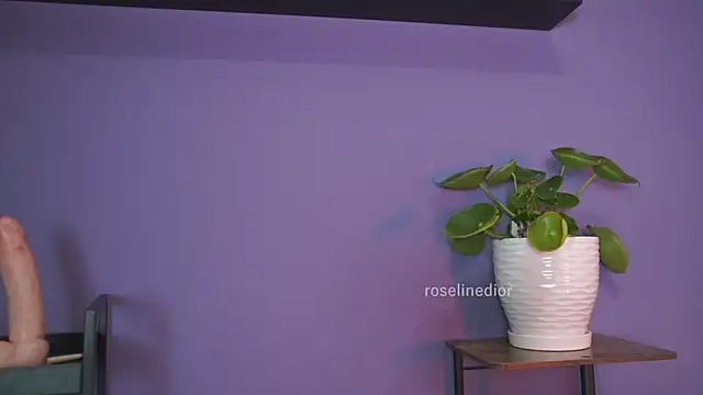 roselinedior online show from 05-26-26, 01:31
