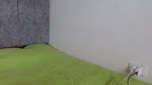 linda 33 online show from 09-11-25, 03:56