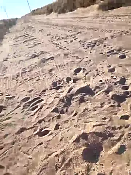 Snapshot of prettyboi6992 chatting on 03-01-26, 11:49 prettyboi6992 online show from 03-01-26, 11:49