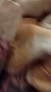 fukurbutt online show from 12-01-25, 11:22