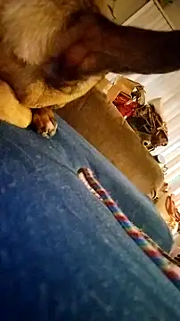 fukurbutt online show from 02-19-26, 03:42