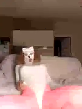 Snapshot of BigAssKi chatting on 12-26-24, 11:57 BigAssKi online show from 12-26-24, 11:57