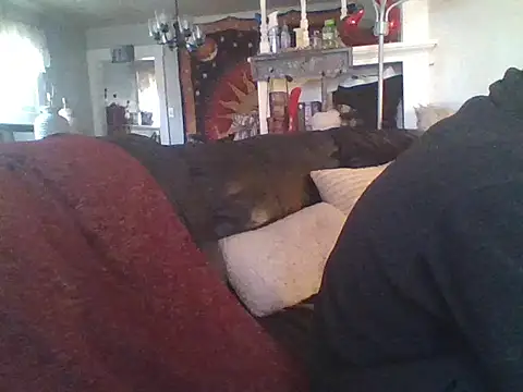 LongDickLance online show from 01-08-26, 02:34