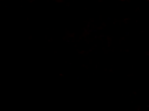 Snapshot of BIGPINKBYRD chatting on 10-29-25, 01:04 BIGPINKBYRD online show from 10-29-25, 01:04